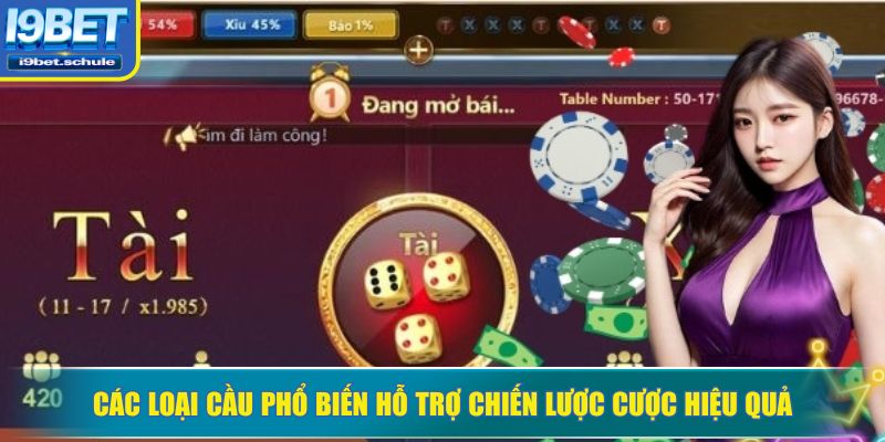 Các loại cầu phổ biến hỗ trợ chiến lược cược hiệu quả
