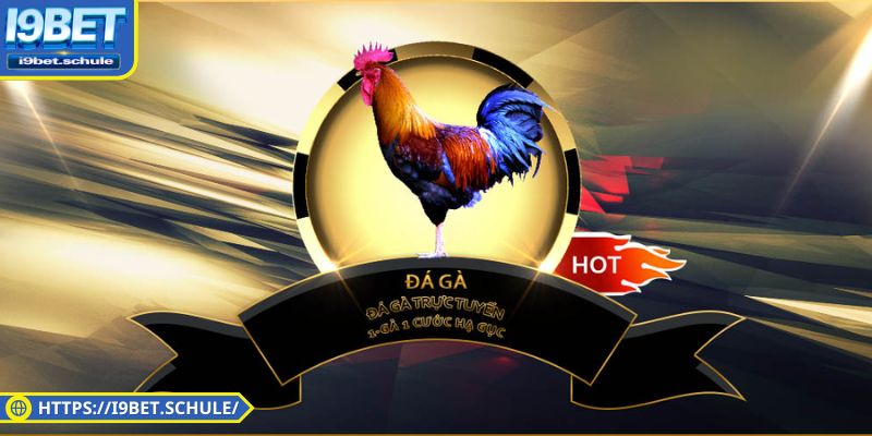 Kèo cược hấp dẫn trong đá gà I9BET 