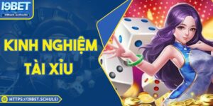 Kinh Nghiệm Tài Xỉu Thực Chiến Giúp Nâng Cao Tỷ Lệ Thắng