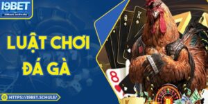 Luật Chơi Đá Gà Chuẩn I9bet Và Bí Quyết Thắng Đều Tay