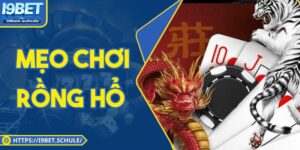 Mẹo Chơi Rồng Hổ I9bet: Chiến Lược Đỉnh Cao Từ Chuyên Gia