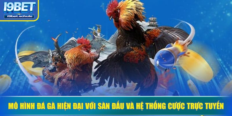 Mô hình đá gà hiện đại với sàn đấu và hệ thống cược trực tuyến