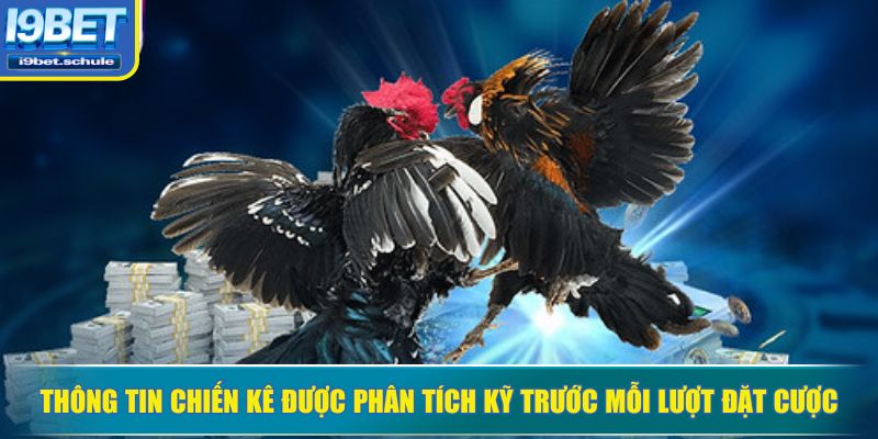 Thông tin chiến kê được phân tích kỹ trước mỗi lượt đặt cược